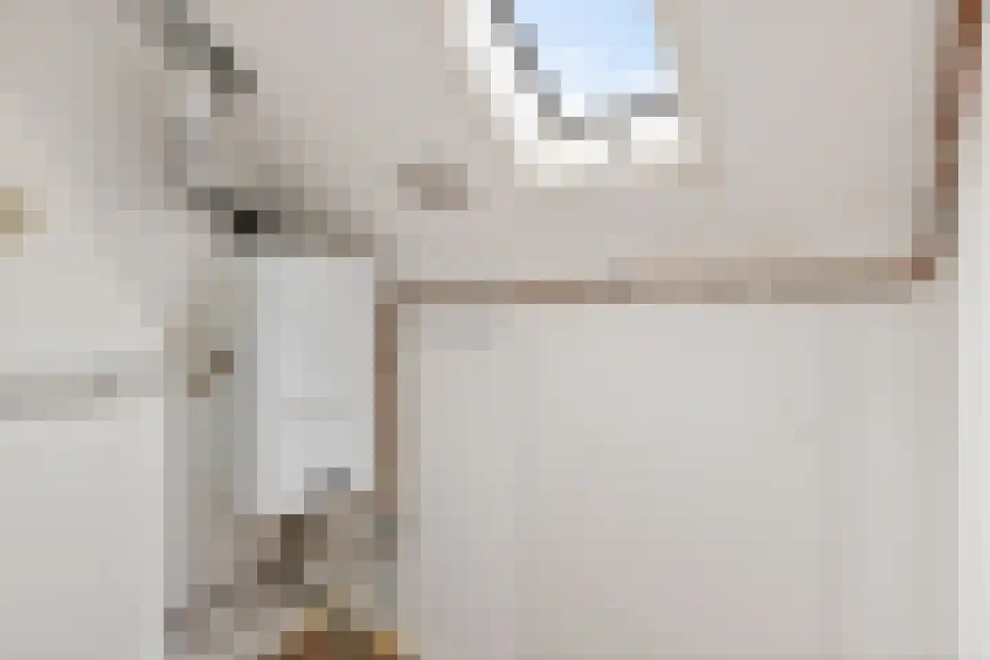 De Kempenaerstraat 40 Oss thumbnail 22