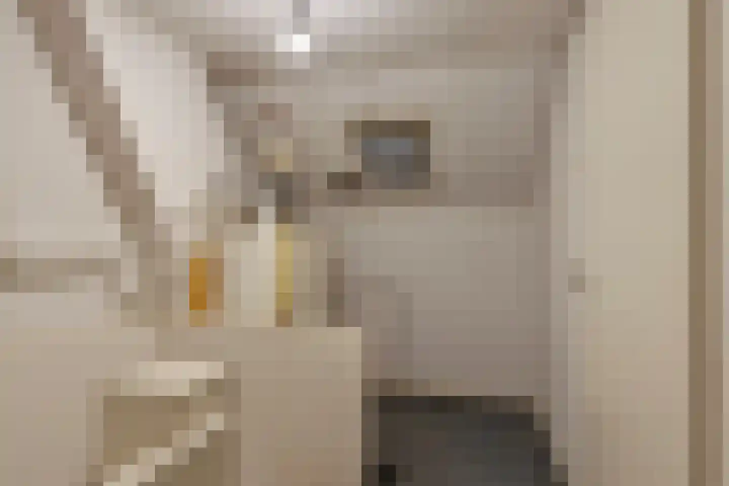 De Kempenaerstraat 52 Oss thumbnail 23