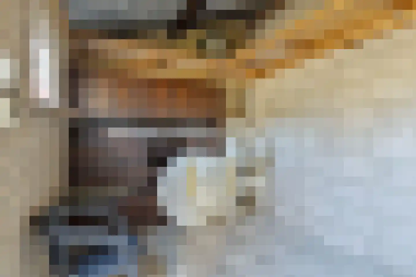 De Kempenaerstraat 52 Oss thumbnail 24