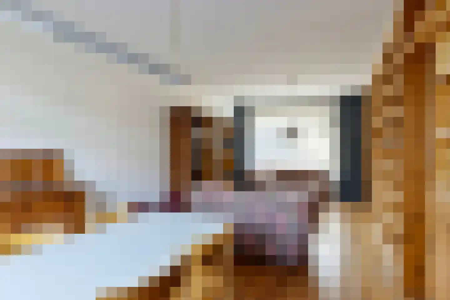 De Kempenaerstraat 52 Oss thumbnail 5