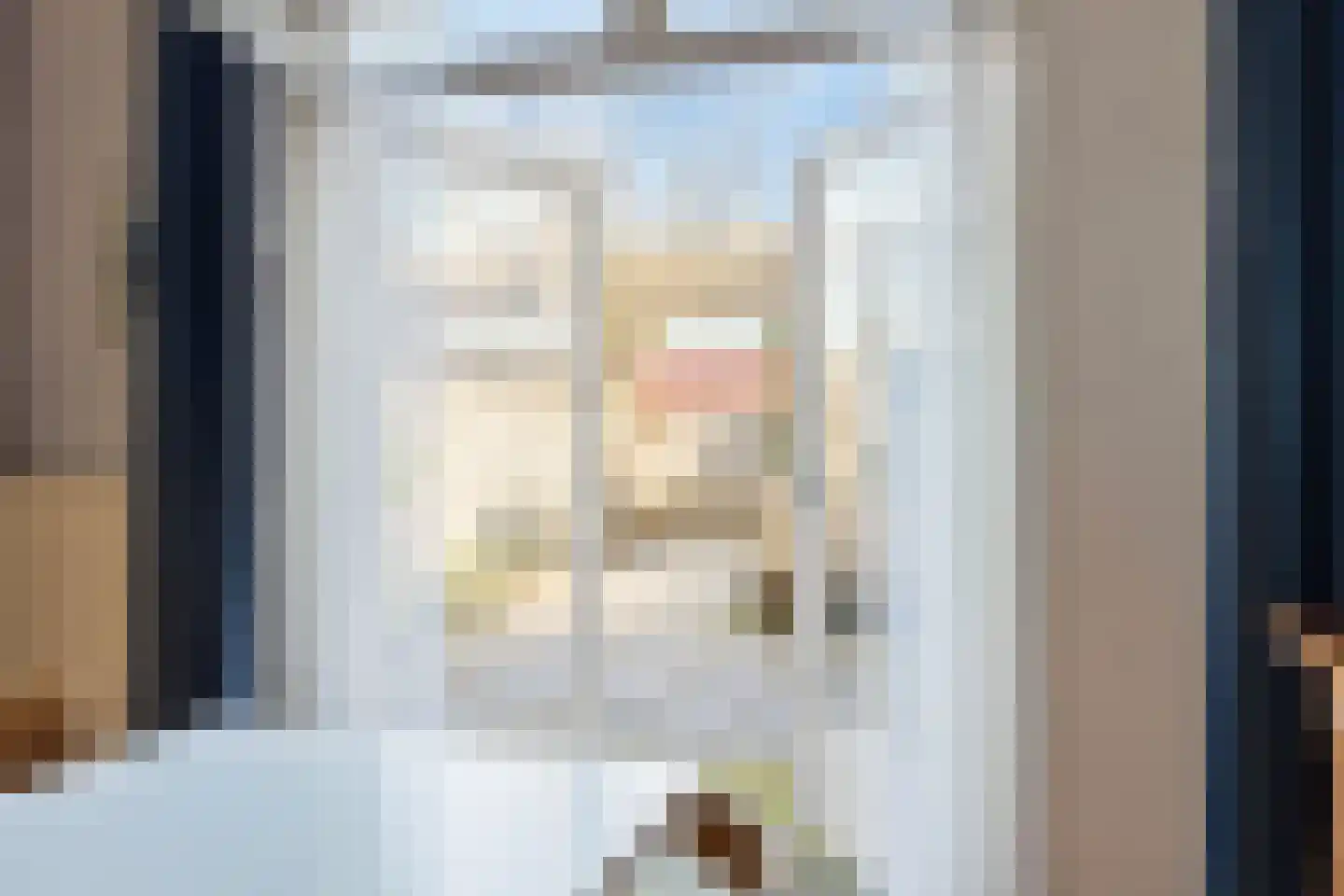 De Kempenaerstraat 52 Oss thumbnail 8