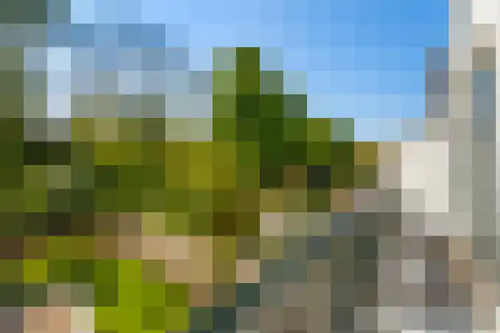 de Kempenaerstraat 60 Oegstgeest thumbnail 47