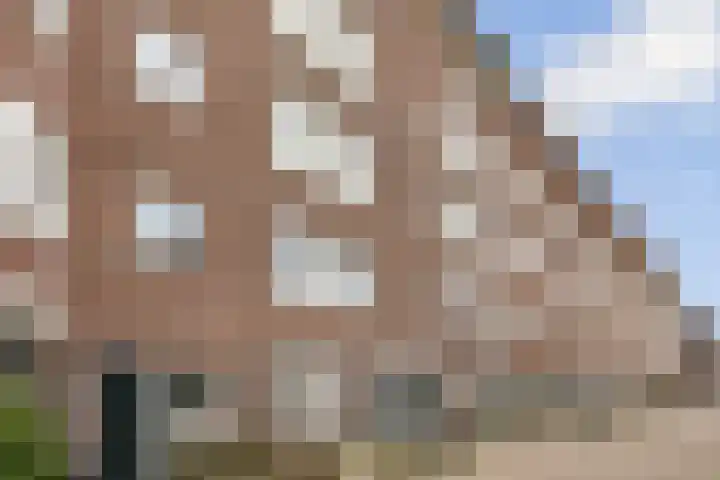De Kempenaerstraat 72 2 Amsterdam thumbnail 22