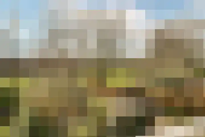 de Kempenaerstraat 76 Oegstgeest thumbnail 41