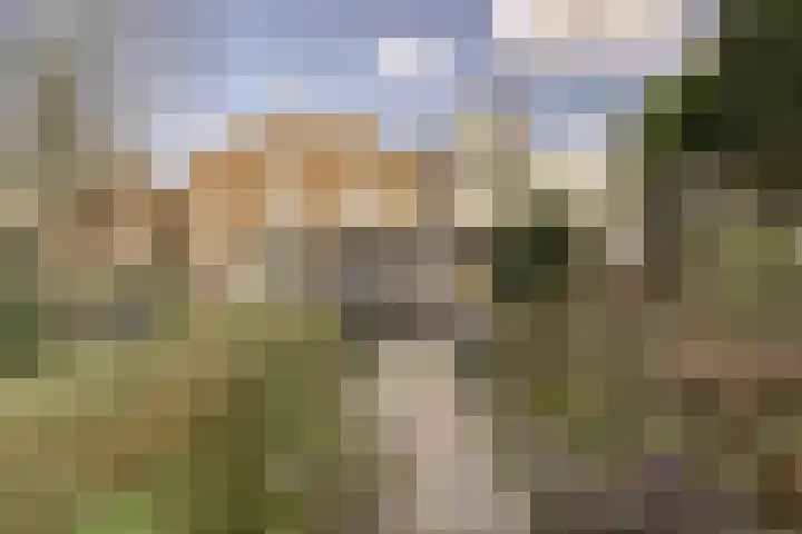 de Kempenaerstraat 76 Oegstgeest thumbnail 42