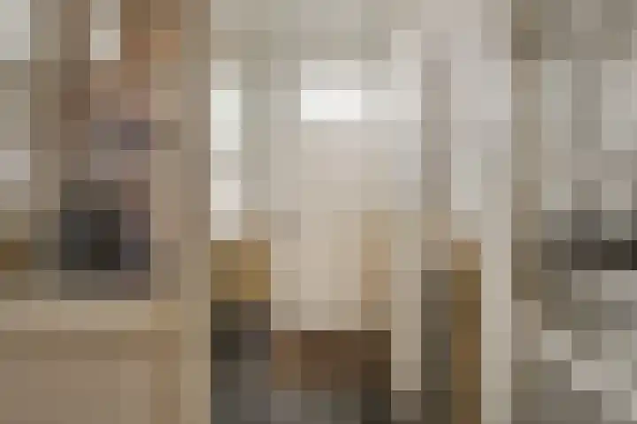 de Kempenaerstraat 76 Oegstgeest thumbnail 8