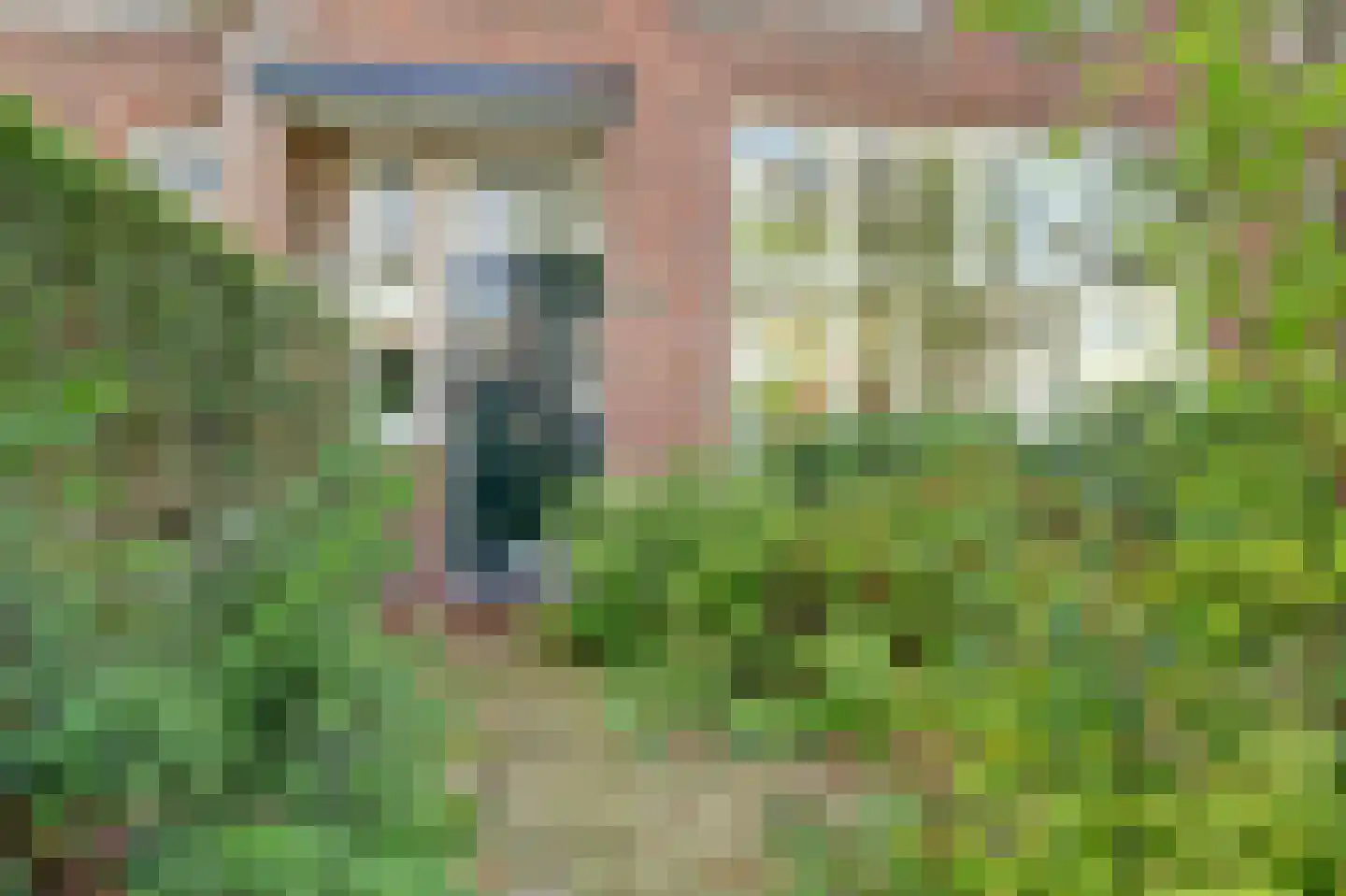 de Kempenaerstraat 82 Oegstgeest thumbnail 10