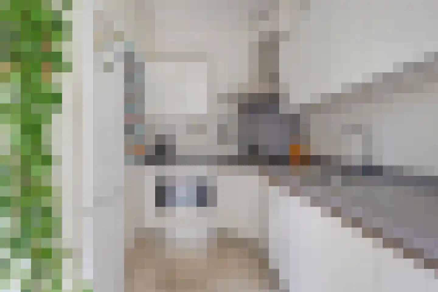 de Kempenaerstraat 82 Oegstgeest thumbnail 25