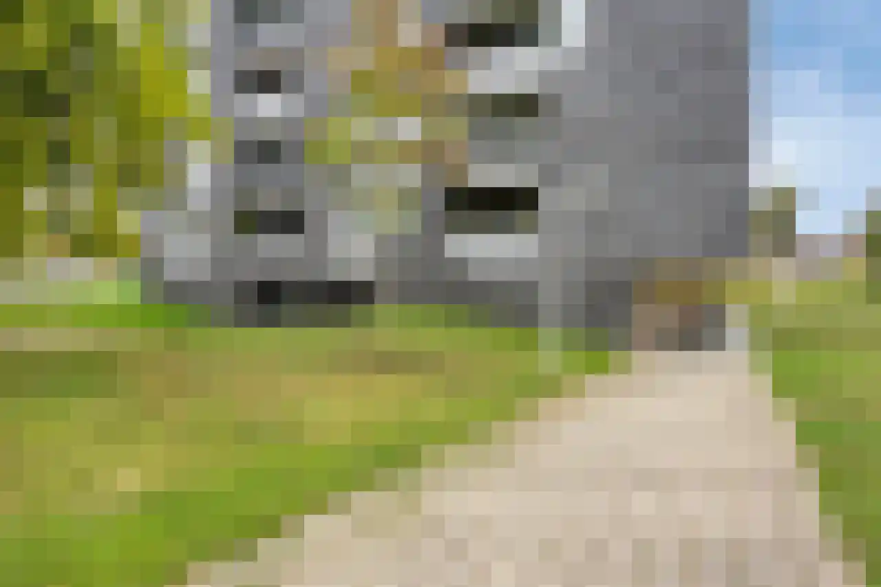 De Kempenaerstraat 85 Nijmegen thumbnail 4