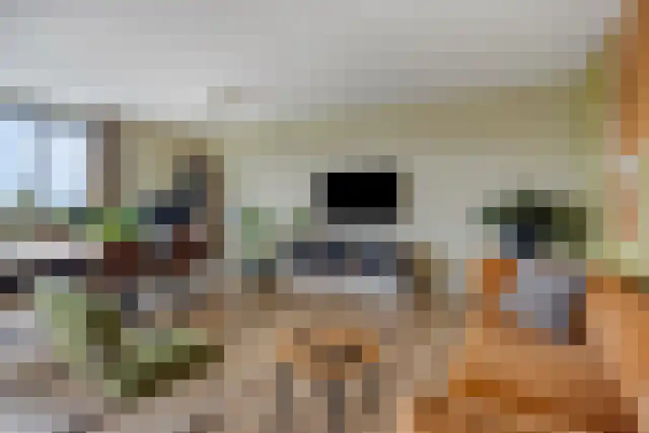 De Kempenaerstraat 85 Nijmegen thumbnail 9
