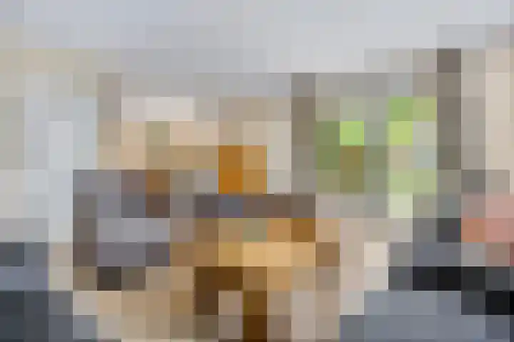 De Kempenbongerd 14 Oosterhout thumbnail 10