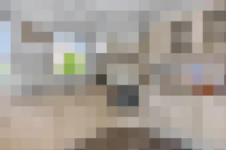 De Kempenbongerd 14 Oosterhout thumbnail 14