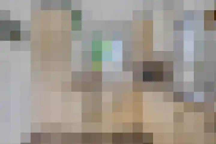 De Kempenbongerd 14 Oosterhout thumbnail 16