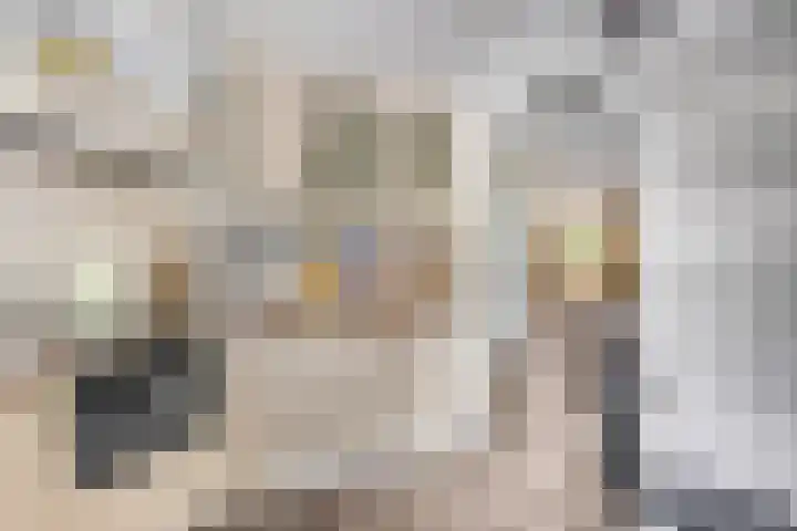 De Kempenbongerd 14 Oosterhout thumbnail 17