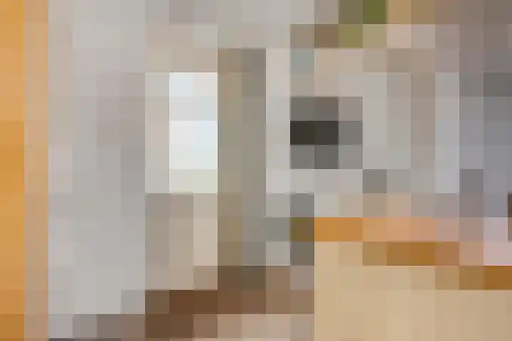 De Kempenbongerd 14 Oosterhout thumbnail 18