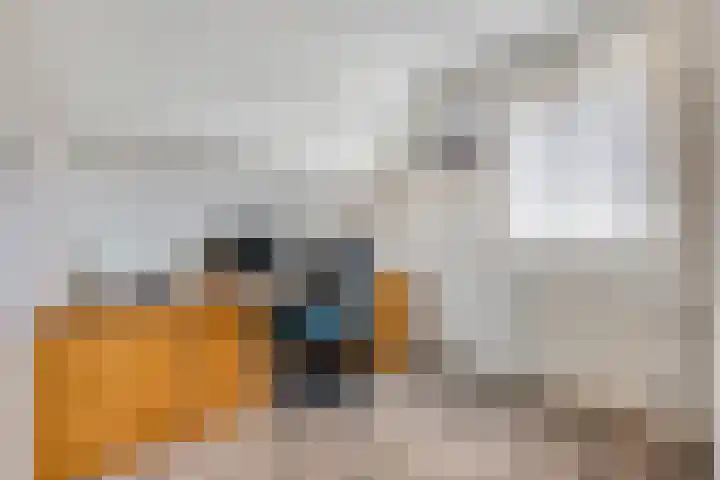 De Kempenbongerd 14 Oosterhout thumbnail 23