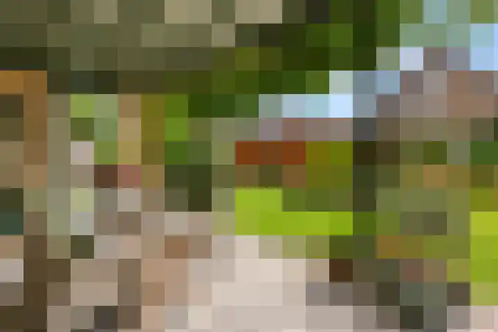 De Kempenbongerd 14 Oosterhout thumbnail 33