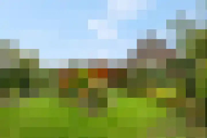 De Kempenbongerd 14 Oosterhout thumbnail 36