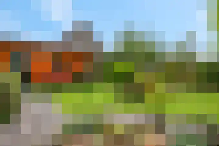 De Kempenbongerd 14 Oosterhout thumbnail 37