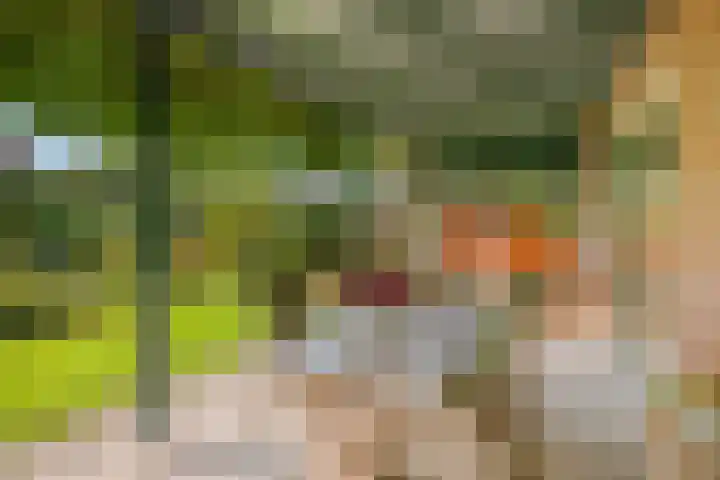 De Kempenbongerd 14 Oosterhout thumbnail 38