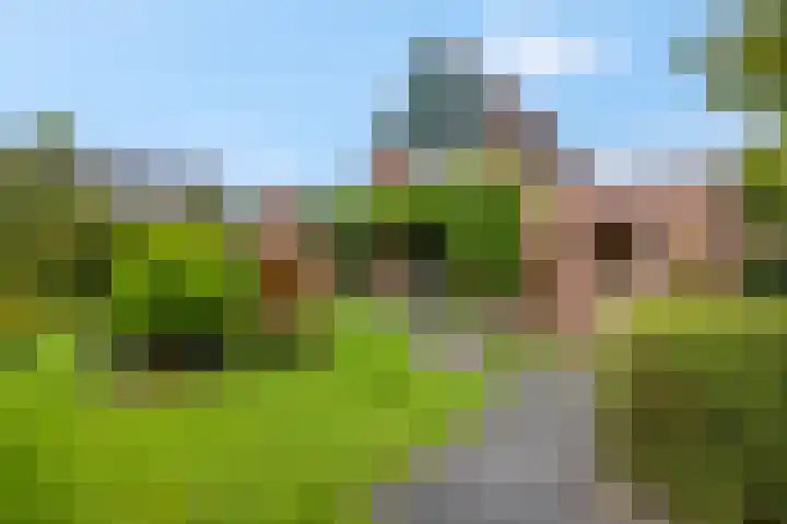 De Kempenbongerd 14 Oosterhout thumbnail 39