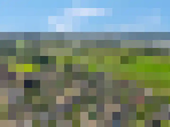 De Kempenbongerd 14 Oosterhout thumbnail 4