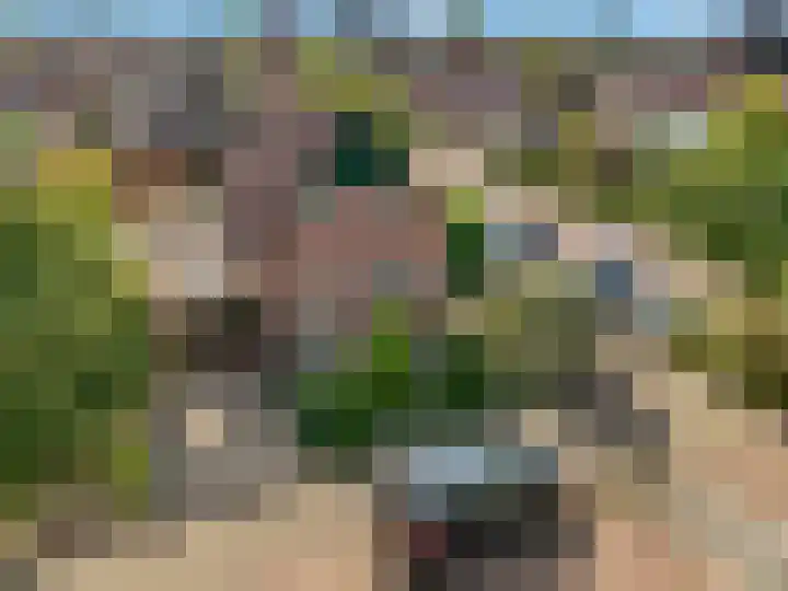 De Kempenbongerd 14 Oosterhout thumbnail 43