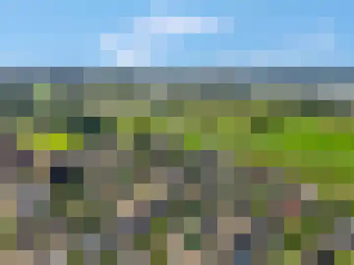 De Kempenbongerd 14 Oosterhout thumbnail 44