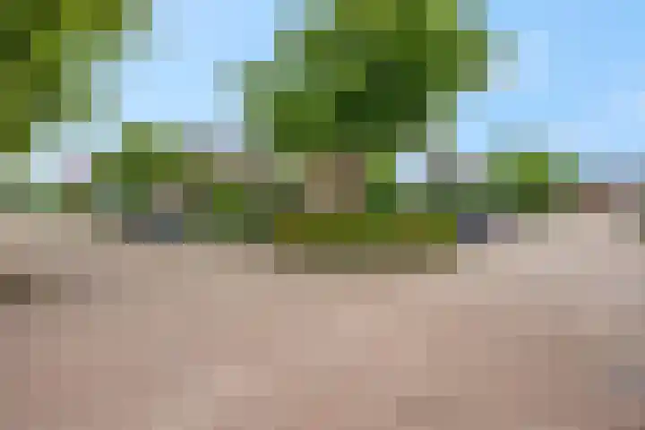 De Kempenbongerd 14 Oosterhout thumbnail 45