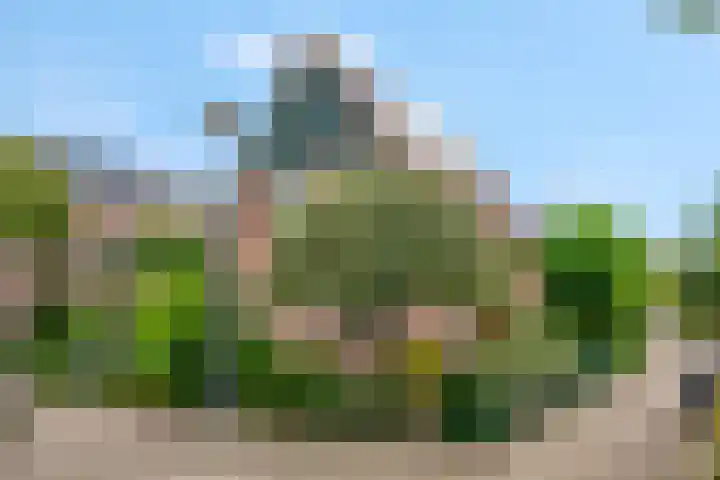 De Kempenbongerd 14 Oosterhout thumbnail 46
