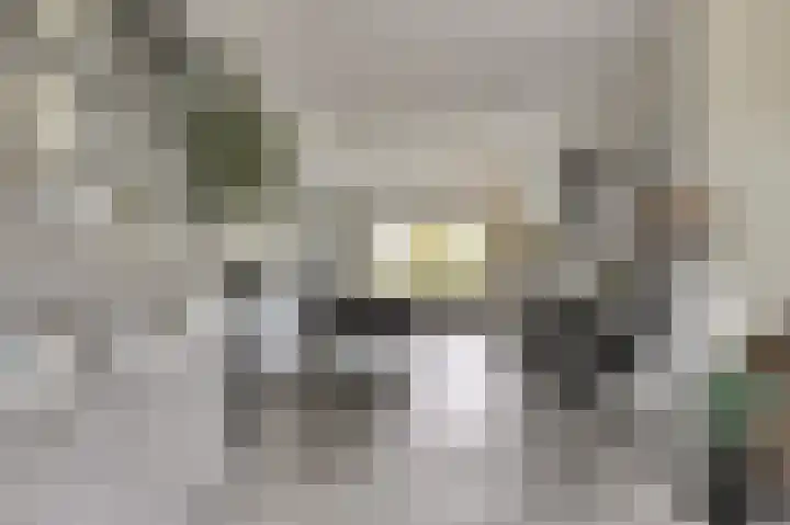 De Kempenbongerd 6 Oosterhout thumbnail 10