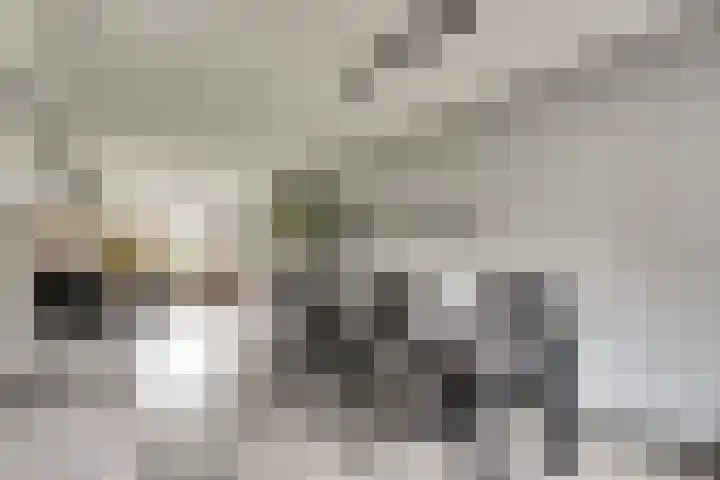 De Kempenbongerd 6 Oosterhout thumbnail 11