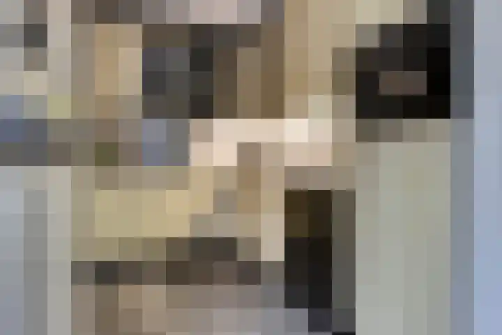 De Kempenbongerd 6 Oosterhout thumbnail 12