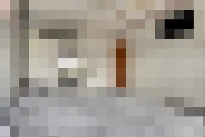 De Kempenbongerd 6 Oosterhout thumbnail 16