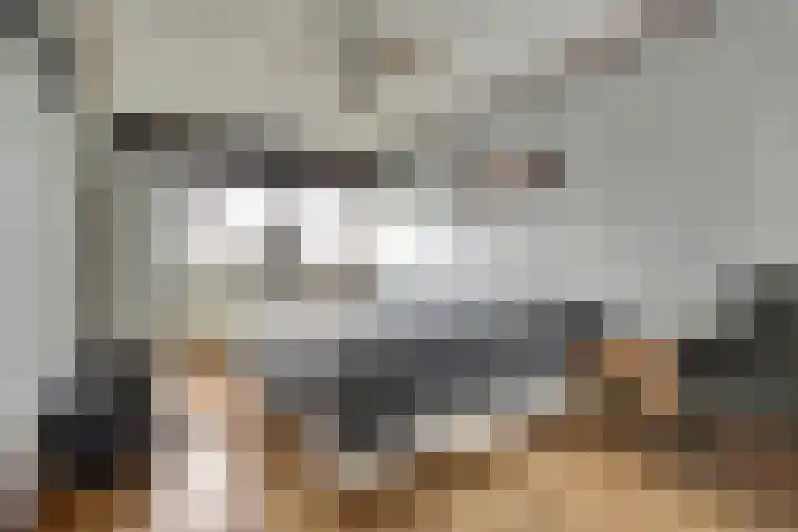 De Kempenbongerd 6 Oosterhout thumbnail 19