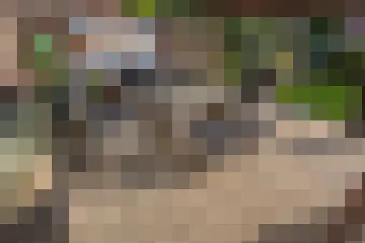 De Kempenbongerd 6 Oosterhout thumbnail 28