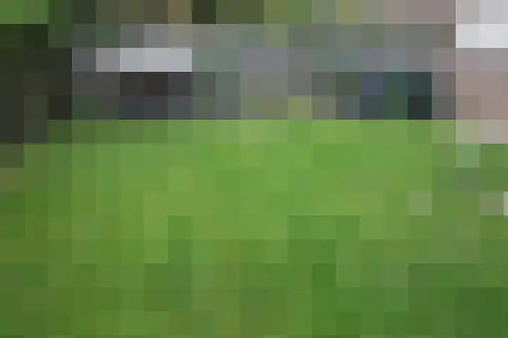 De Kempenbongerd 6 Oosterhout thumbnail 30