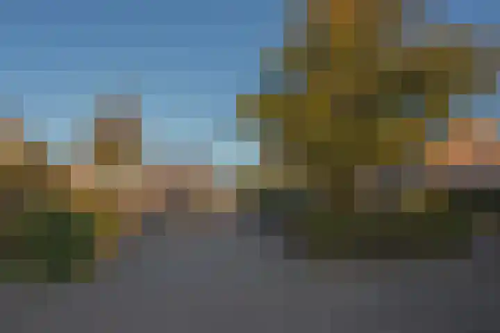 De Kempenbongerd 6 Oosterhout thumbnail 35