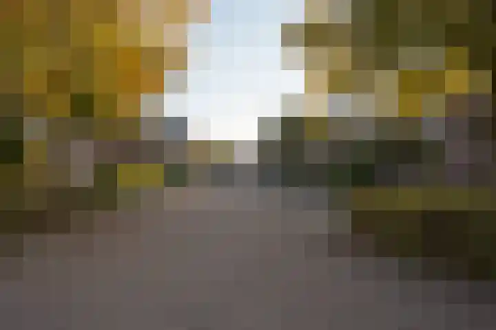 De Kempenbongerd 6 Oosterhout thumbnail 36