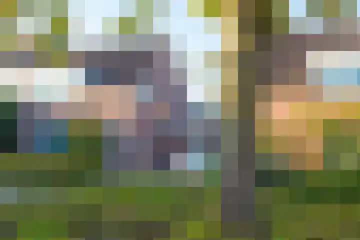 De Kempenbongerd 6 Oosterhout thumbnail 37