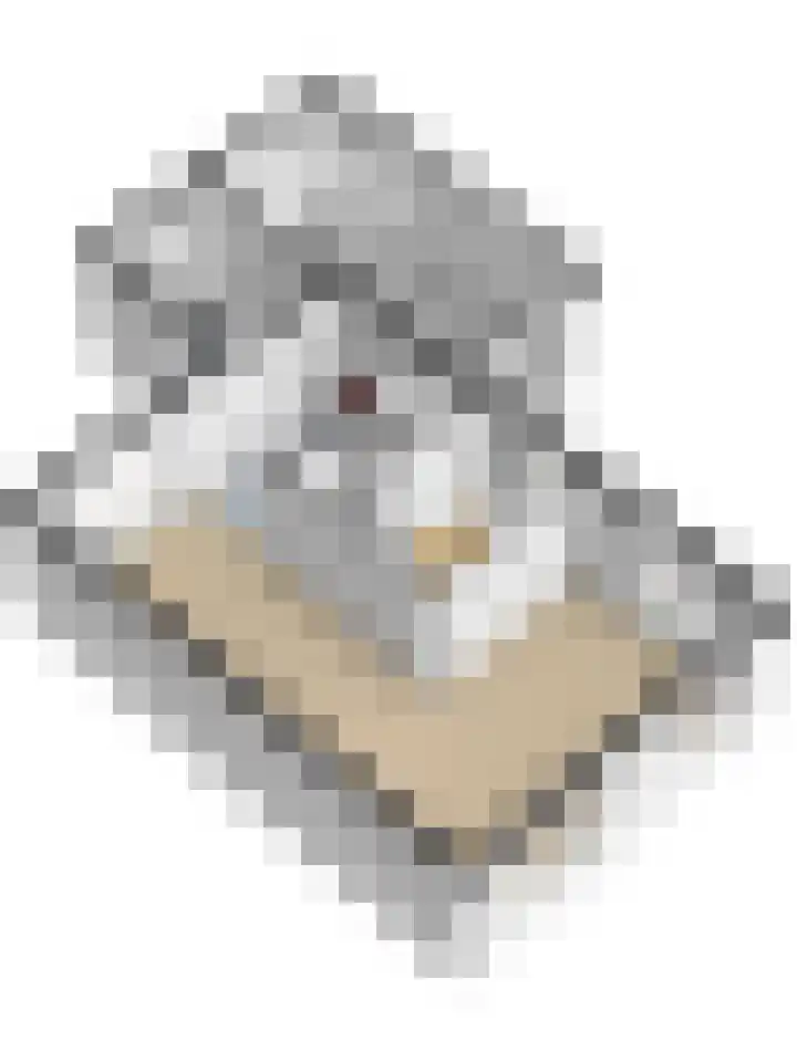 De Kempenbongerd 6 Oosterhout thumbnail 43