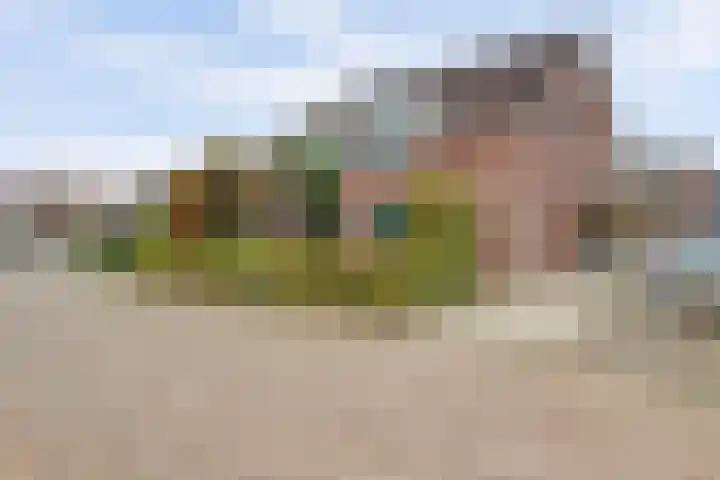 De Kempenbongerd 6 Oosterhout thumbnail 5