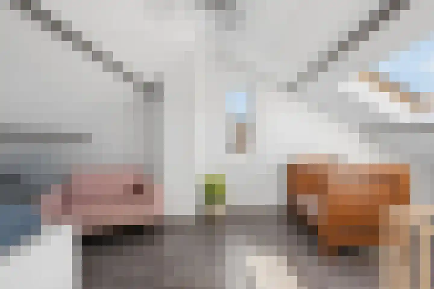 De Kempenbongerd 9 Oosterhout thumbnail 41