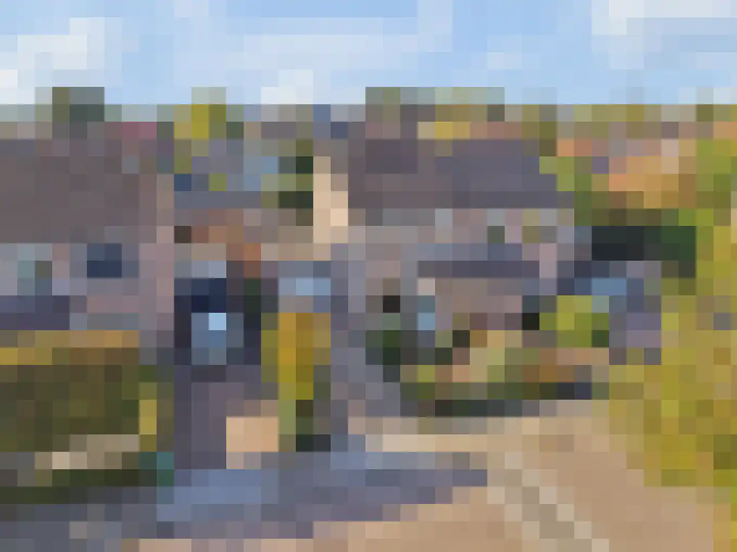 De Kempenbongerd 9 Oosterhout thumbnail 51
