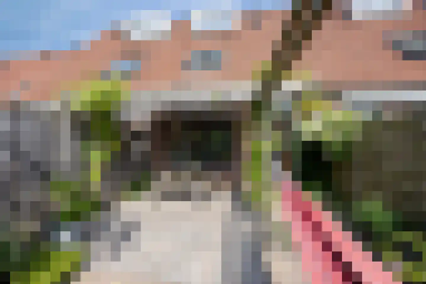 De Kempenstraat 13 Alkmaar thumbnail 20
