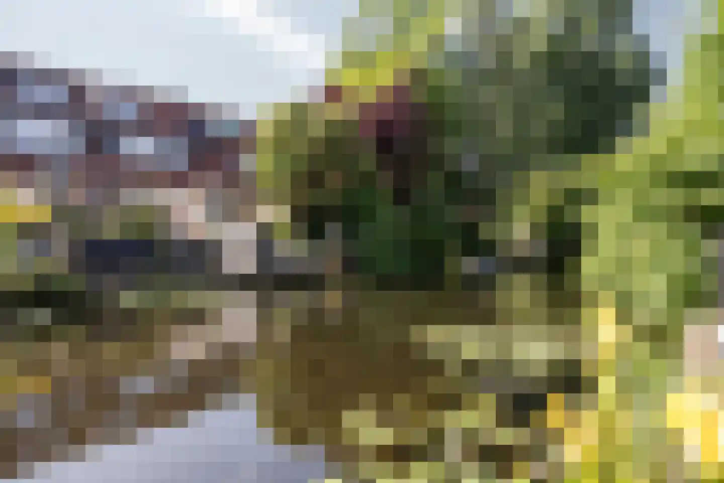 De Kempenstraat 13 Alkmaar thumbnail 26
