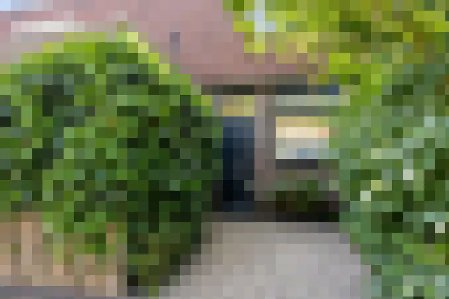 De Kempenstraat 13 Alkmaar thumbnail 6