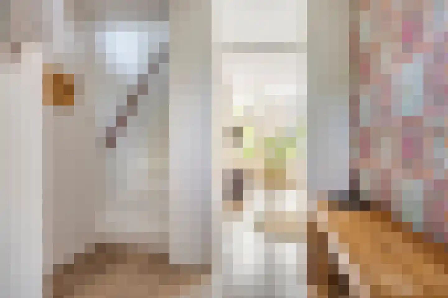 De Kempenstraat 13 Alkmaar thumbnail 8