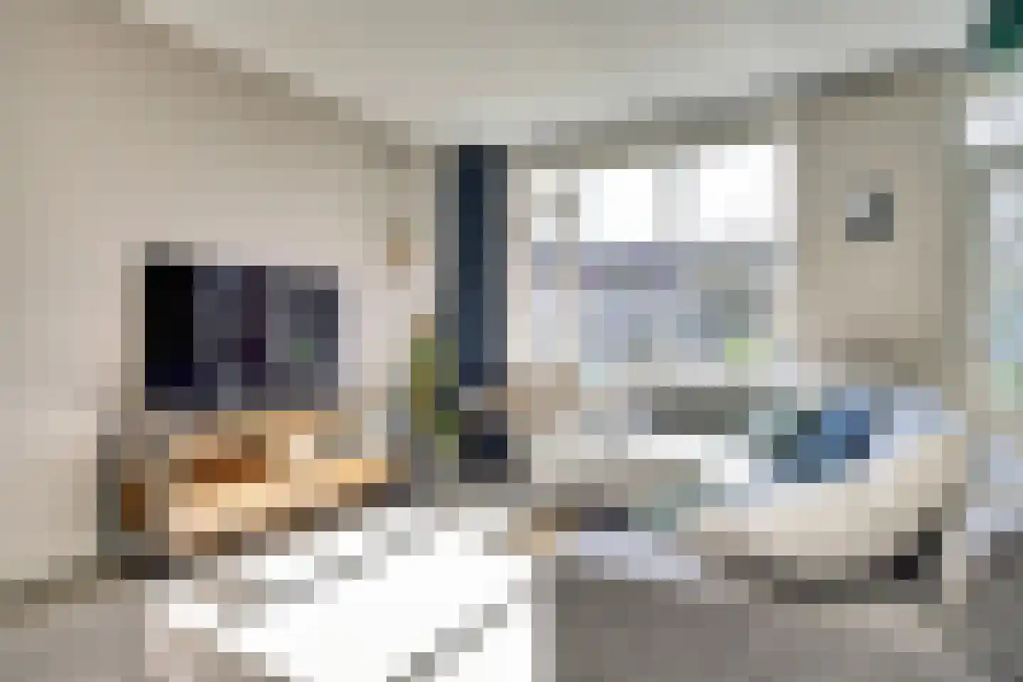De Kempenstraat 38 Alkmaar thumbnail 11