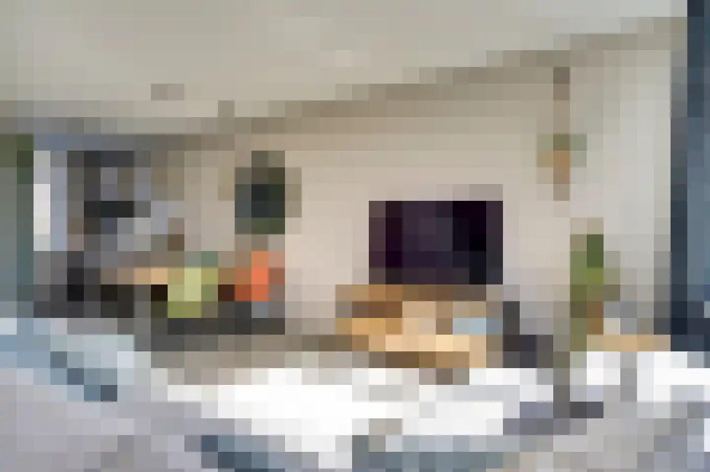 De Kempenstraat 38 Alkmaar thumbnail 15